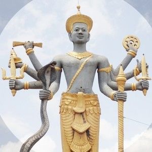 Meet your Posher, Roy